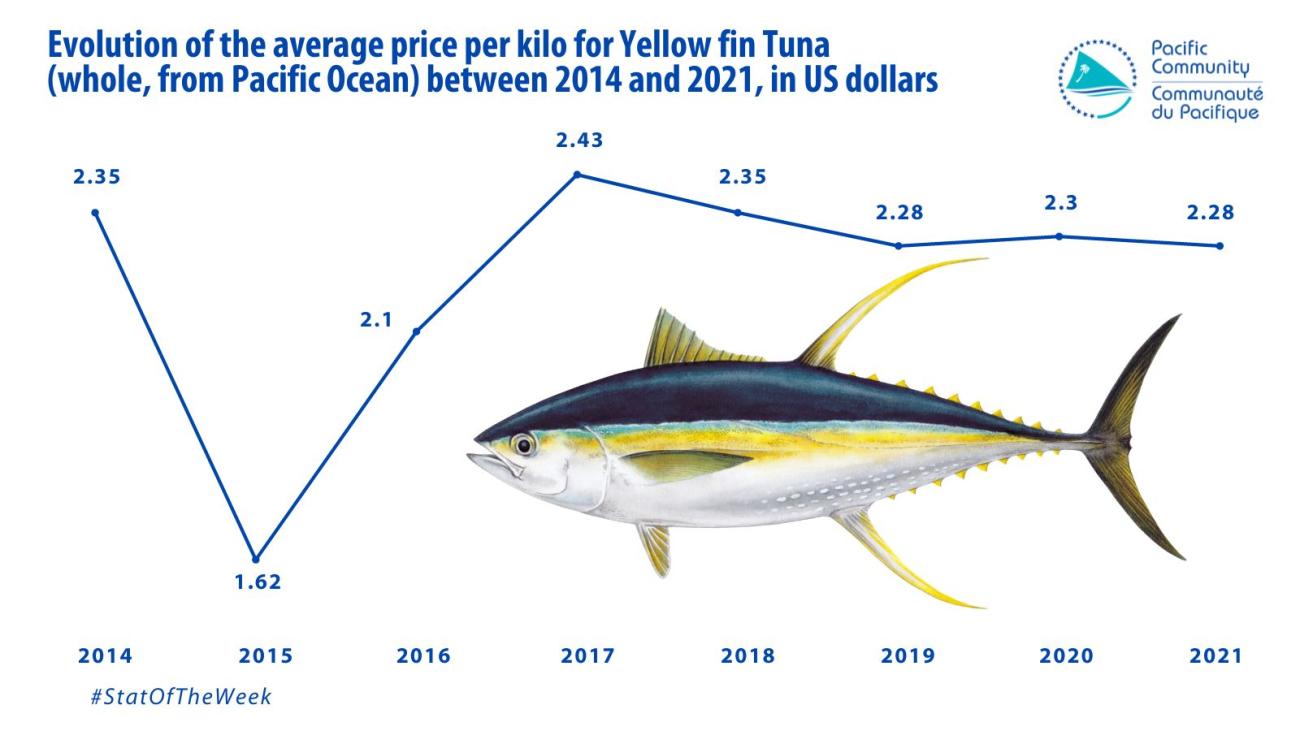 Stat of the week Evolution of the average price per kilo for Yellow